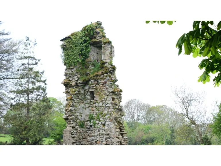 Cistercians in Aghamonister and Abbeymahon
