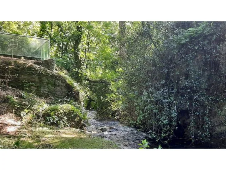 Kilshinahan Mass Rock