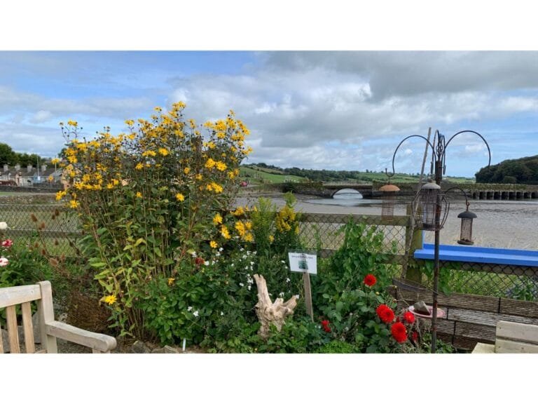 Timoleague Educational Garden