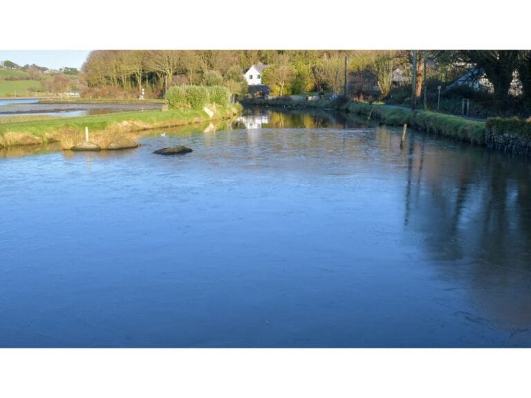 Timoleague to Courtmacsherry Walk